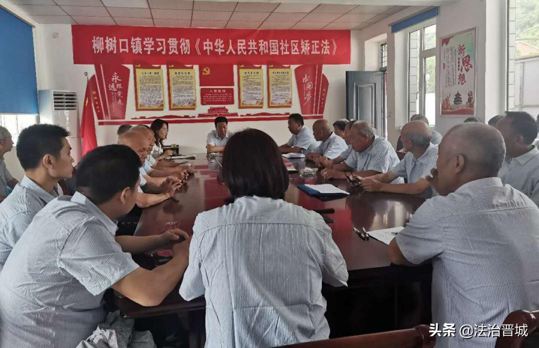 三五门数看本期，吉数二六特码开打一精准生肖，全面释义、统计解答解释落实