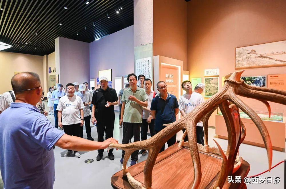 濠江论坛一码一肖既芳草地正版免费资料大全,警惕虚假宣传、全面解答、前沿解答解释落实