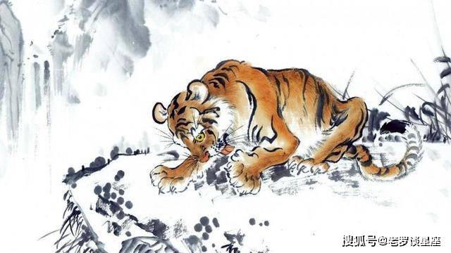 出 人头地想光鲜,能屈能伸走得远猜最佳生肖请全面释义、解释与落实、专家解答解释落实