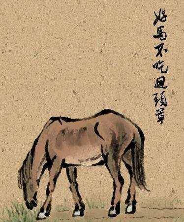 蛇鼠一窝定发家,好汉不吃回头草是什么生肖详细解答、专家解答解释落实